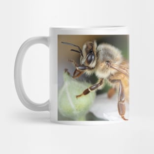 Honey bee Mug